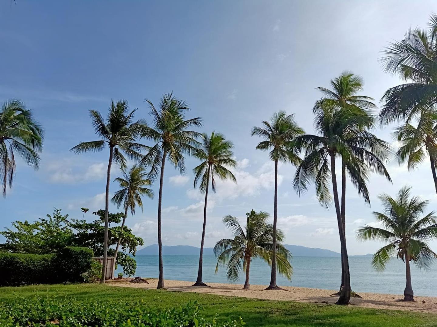 Coco Palm - Sha Resort