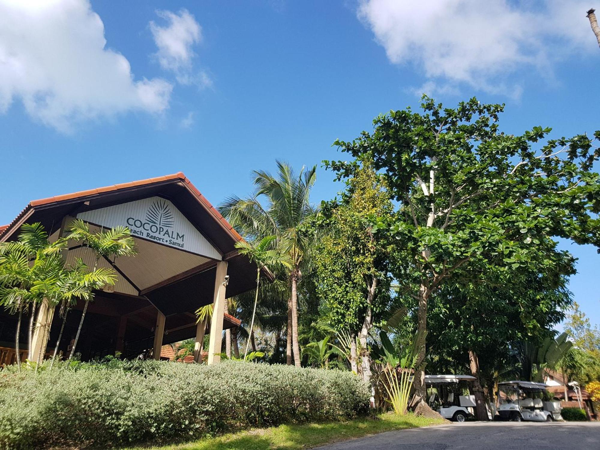 Coco Palm - Sha Resort 3*